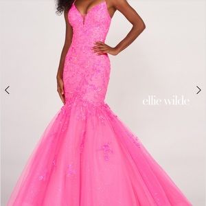 Ellie Wilde dress size 2